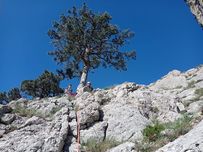 Станция R3 на сосне