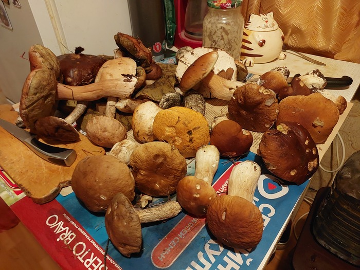 50 ����� - ��� �� ������ "� �������", ��� � �������� ���, ������� ��������� � ������ �� ���.