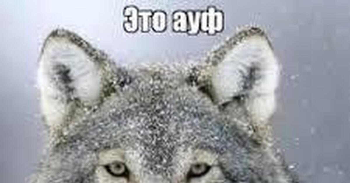 Озарение... | Пикабу