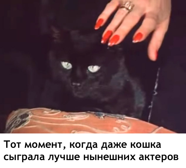 А теперь блохастый!