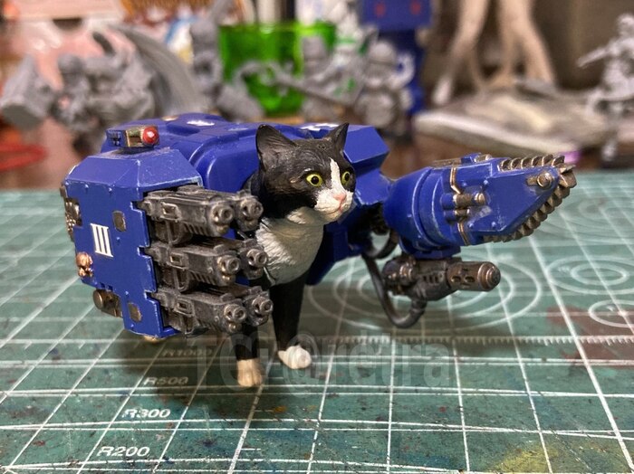    -! Wh humor, Warhammer 40k, , 