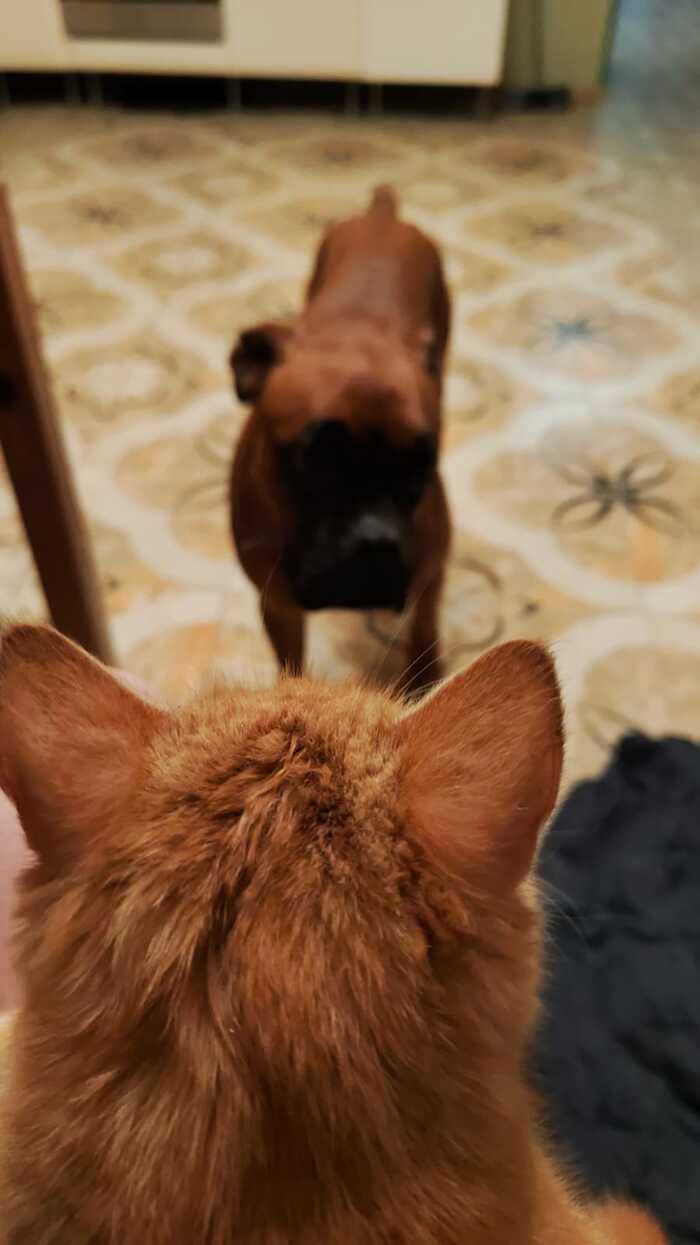 ����� � ������