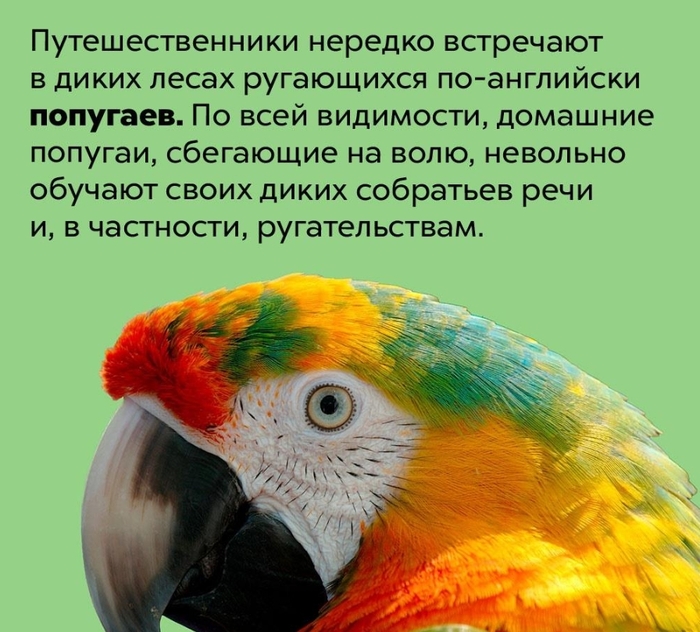 �� ���������...