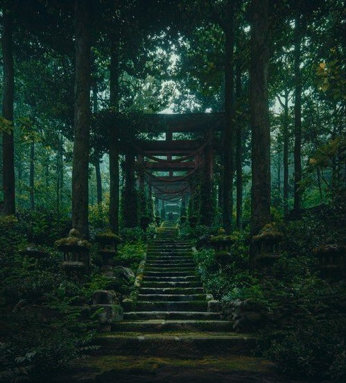 Книги для чтения в жанре фэнтези