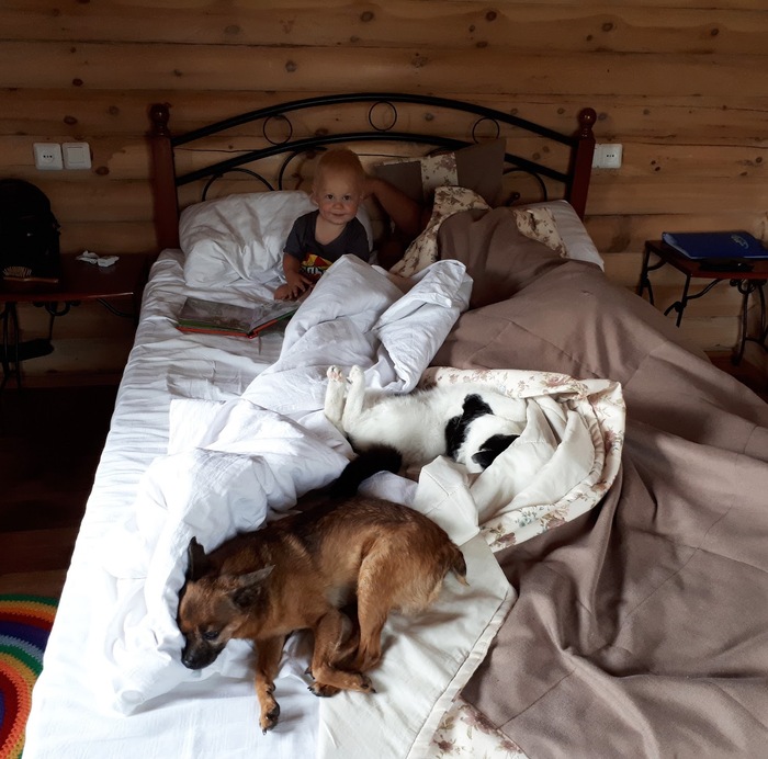        . ,  ,  .             ,     ,       .