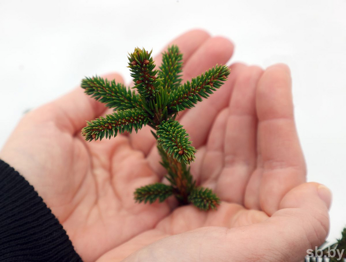 ���������� ������ �� ��������� ������������ �������.