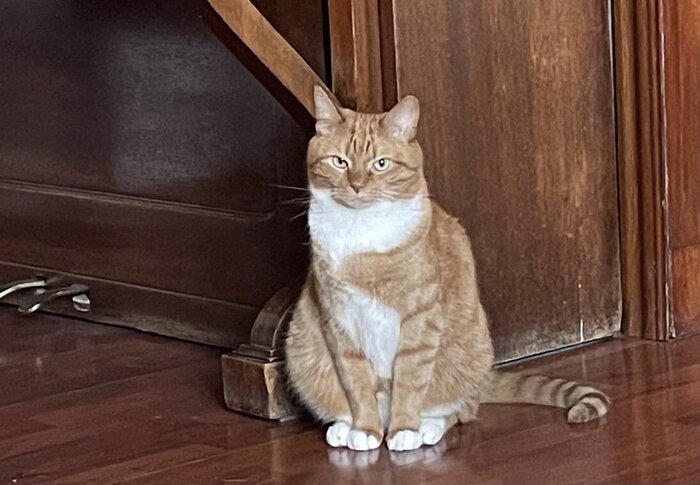 5 лет вместе!