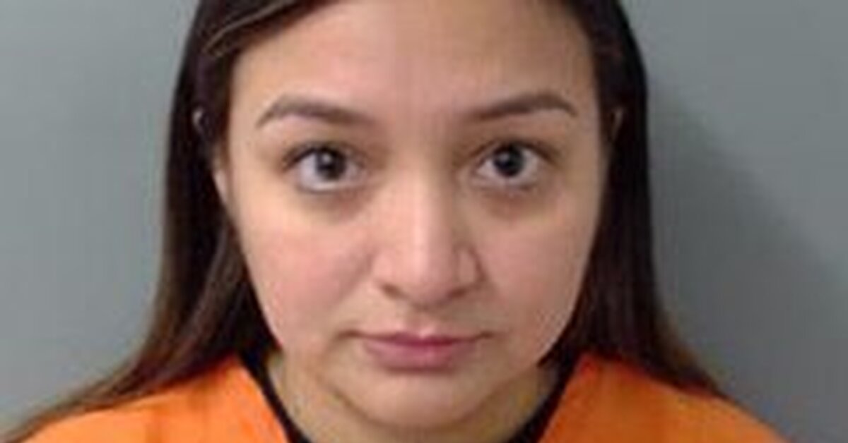 мой учитель (1983). преподаватель вуза. молодая учительница. учительница. учительница 12.