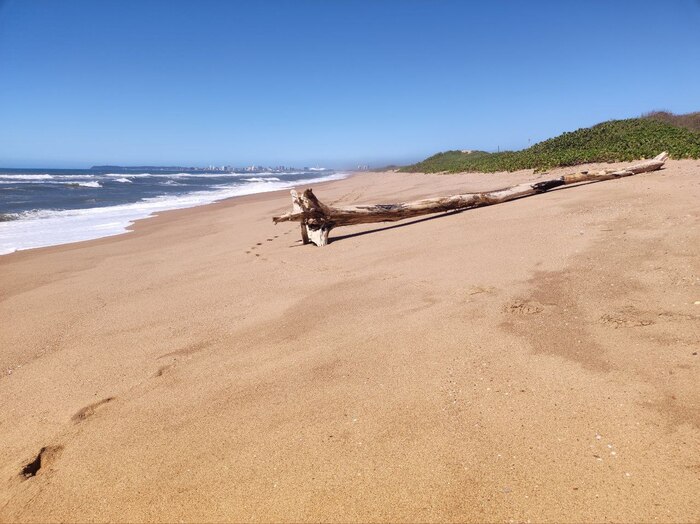 Здесь мы встретили только рыбаков