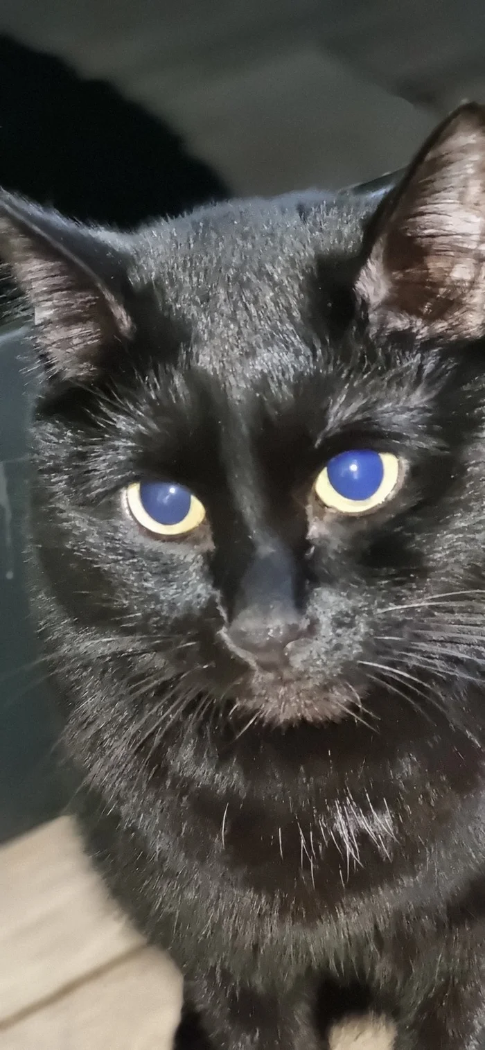 Сергей Кот, Мобильная фотография, Длиннопост