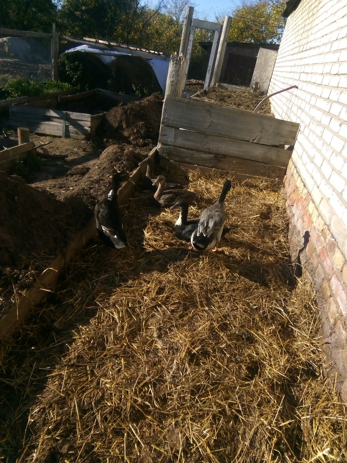 ���. ������ ������ �� �������� ����.