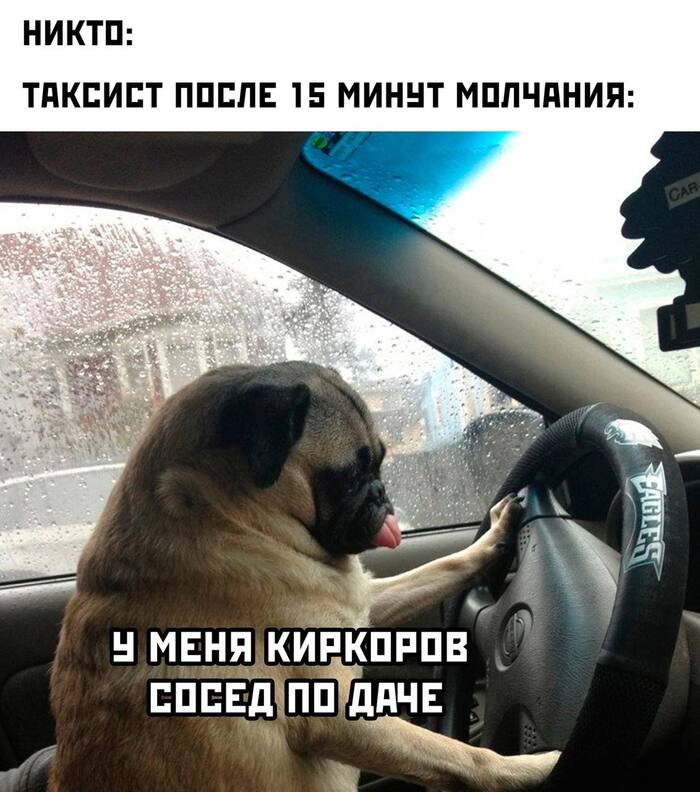  , Telegram (),   