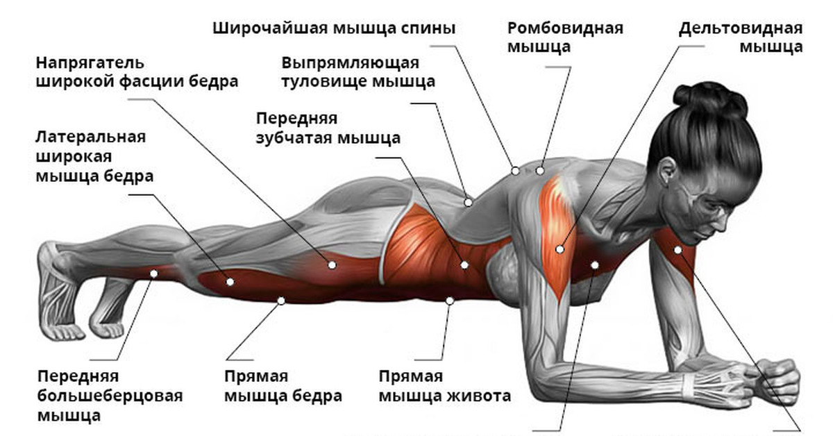 Выполнения планки