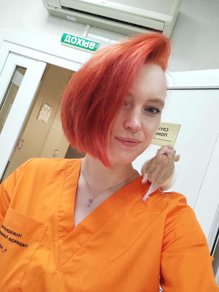 Давайте знакомиться Ветеринар, Экзотические животные, Ветеринария, Помощь животным, Длиннопост