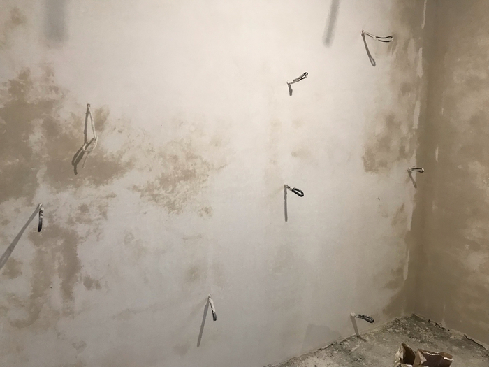 ���� ��������� ����� ����������