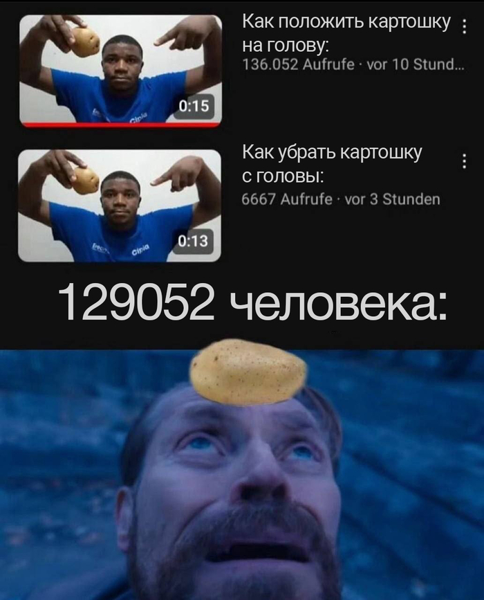 Картошка | Пикабу