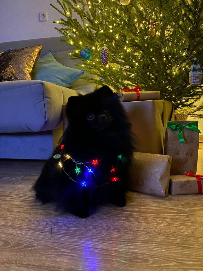 � ����������� �� ����!