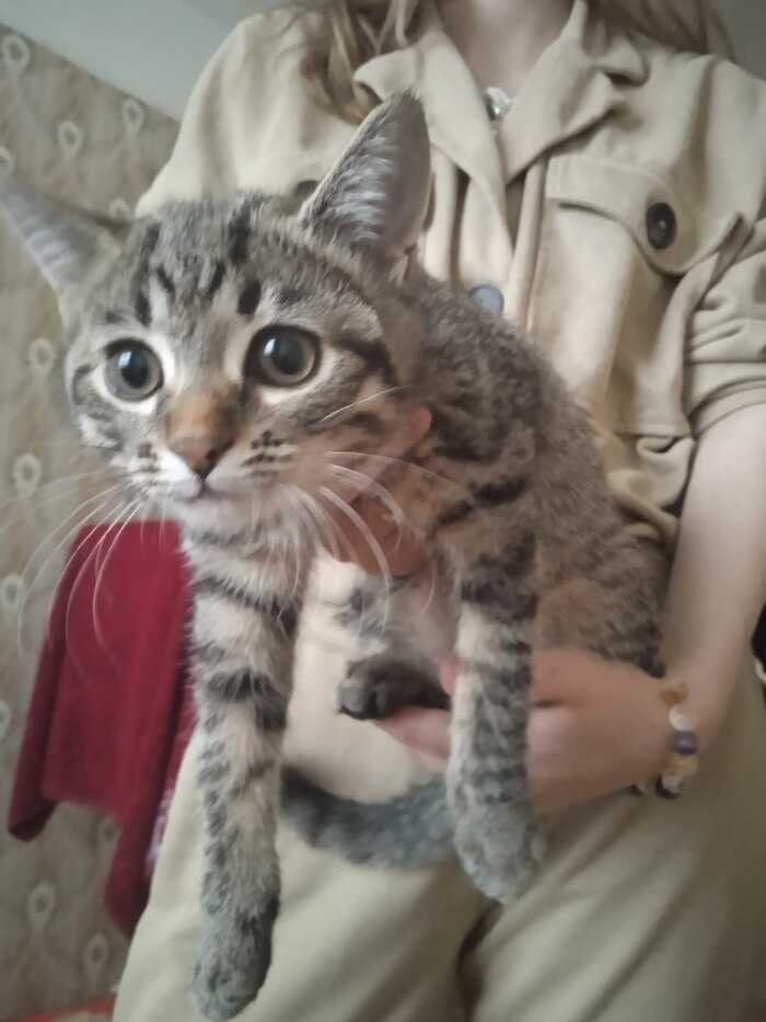 Как они быстро растут