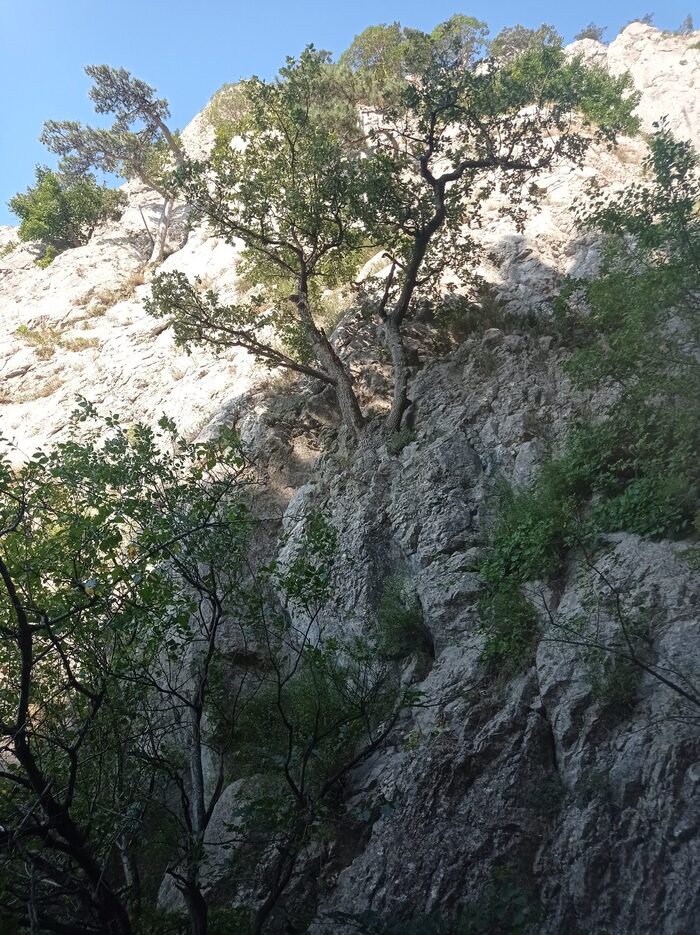 Начало маршрута R0