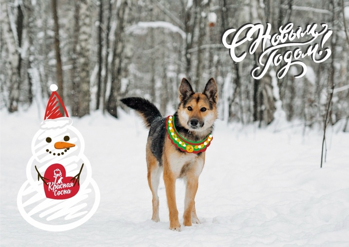   ,       ,          . 