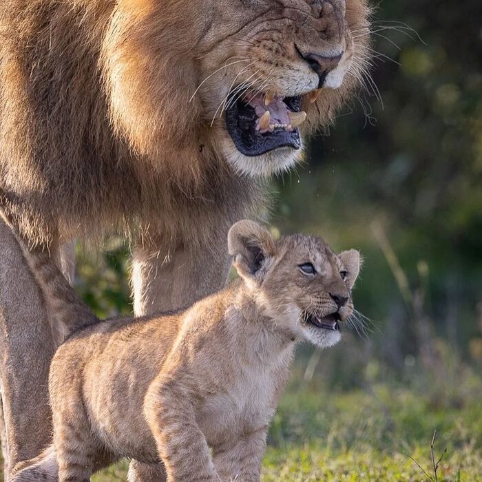С папой на прогулке
