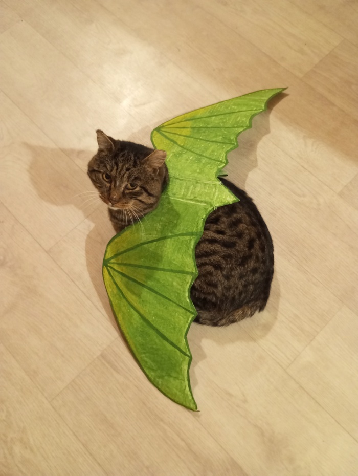 Квас как всегда снисходительно терпелив ко всем реквизитам)