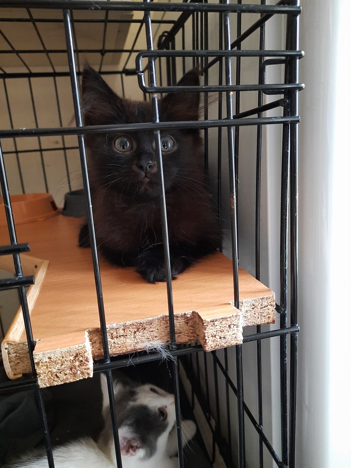 Первый день