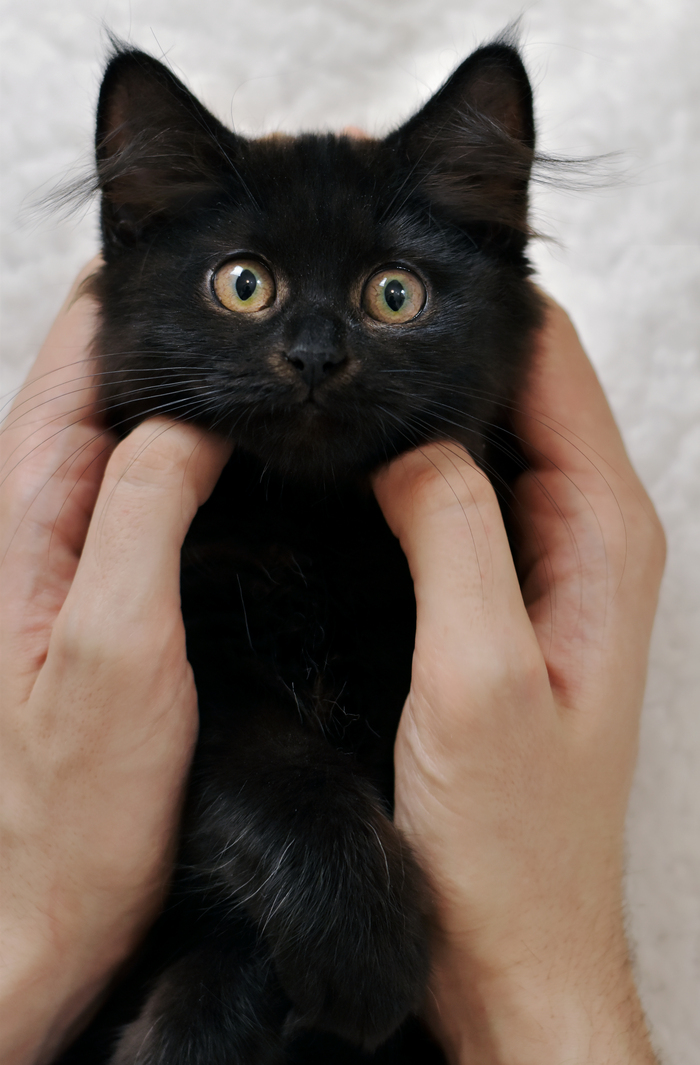 Через две недели