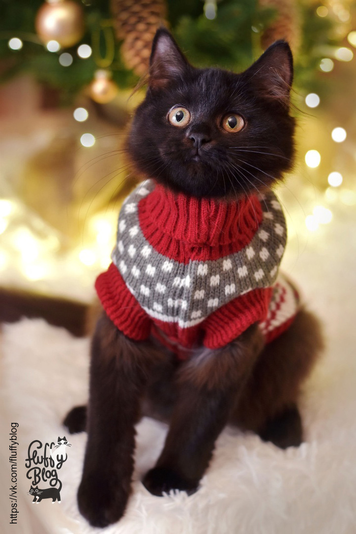 Через месяц