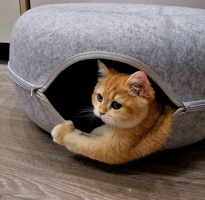 ��� ��� ������!