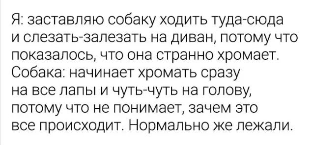 Проверка состояния собаки