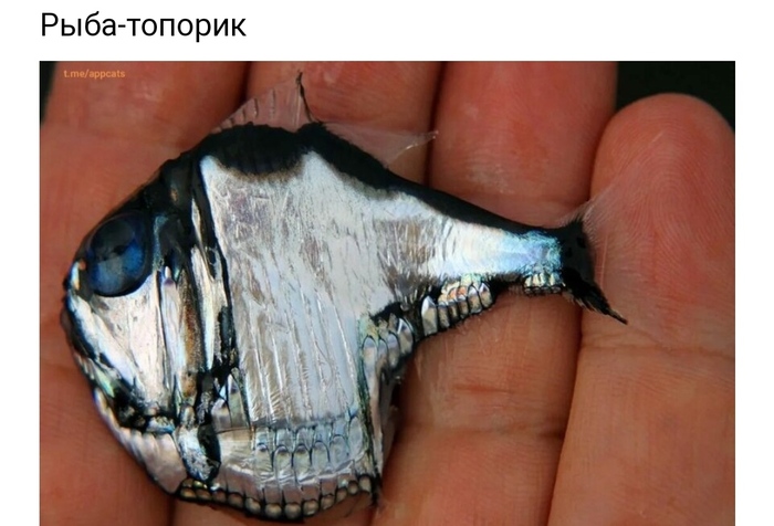 &#x1F43E;&#x1F43E;&#x1F43E;&#x1F43E;&#x1F43E;&#x1F43E;&#x1F43E;&#x1F43E;&#x1F43E;&#x1F43E;&#x1F43E;&#x1F43E;&#x1F43E;&#x1F43E;&#x1F43E;&#x1F43E;&#x1F43E;&#x1F42D;&#x1F43E;&#x1F43E;&#x1F43E;