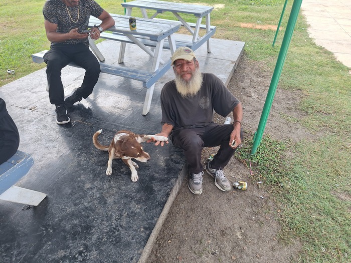 ����� ������� ����� ������ �����, ����� ��� ��������. ���� �� ��� ����������� ���.