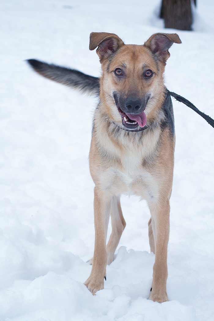 ����� ��� ����� � ���������� ����! ����������, �������� ��...