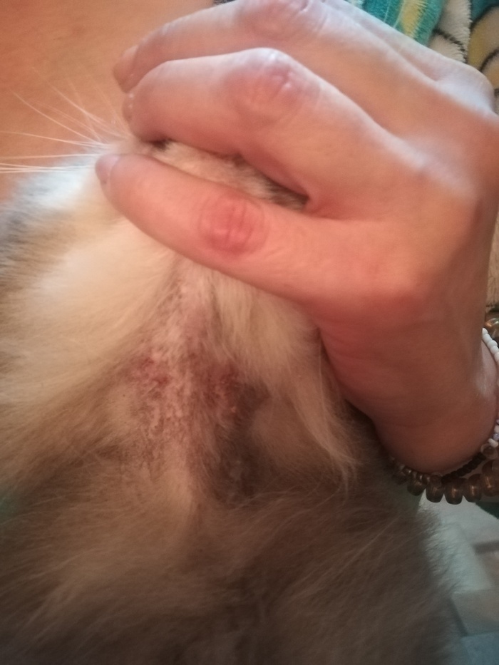 Нужна помощь