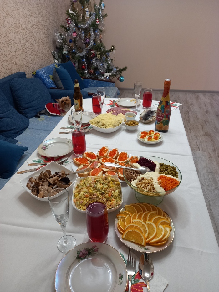 � ����������� ����� 2024 �����, ������