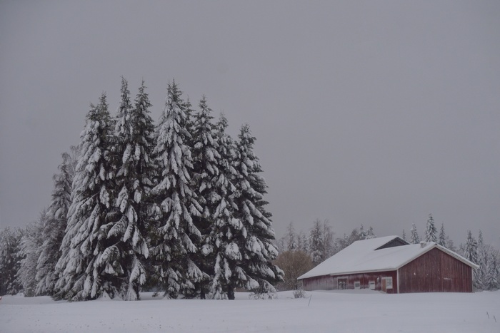 фотка от года когда удалось избежать проклятия стирки путешествием