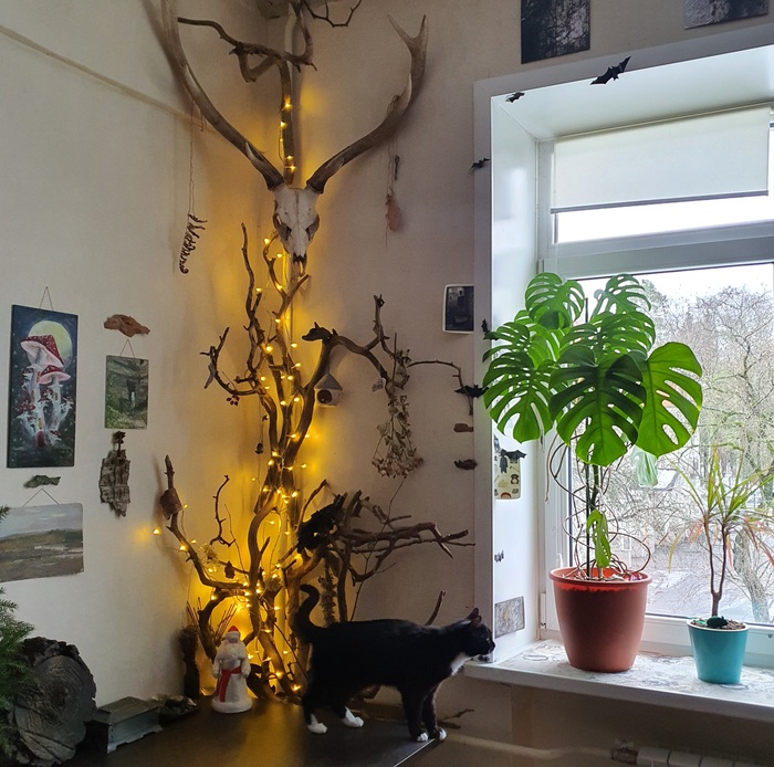 � � ���� � ���������� ����� ������