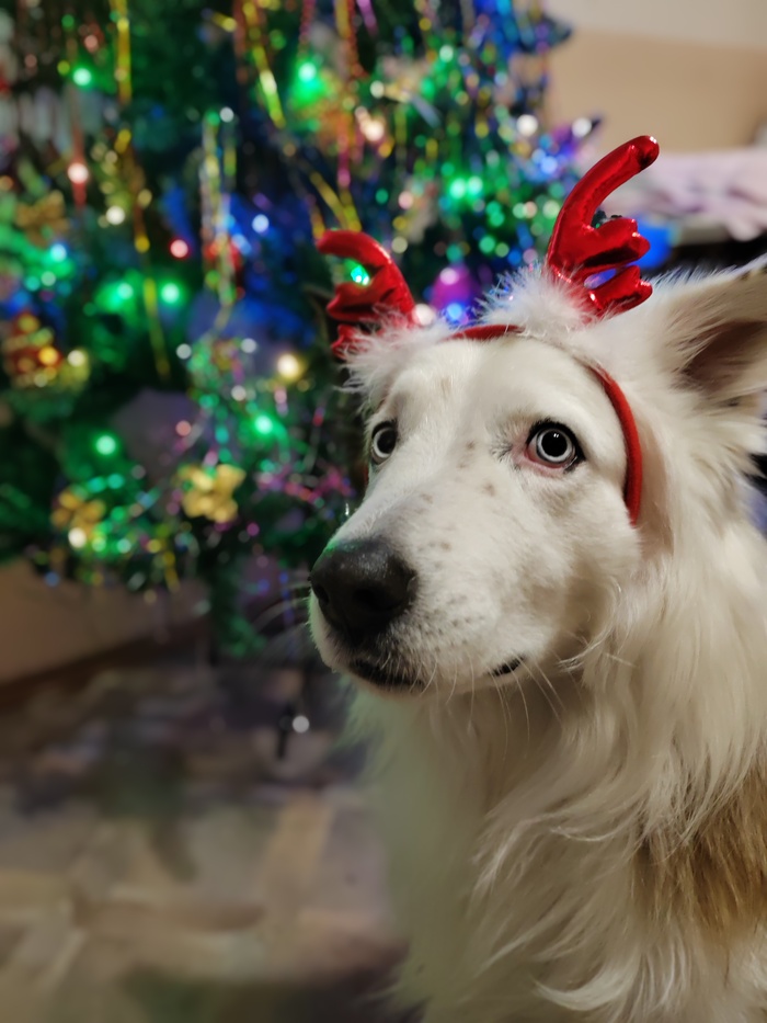 � ����������� ����� �����, ����������! ���� ������ ���� Lucky!