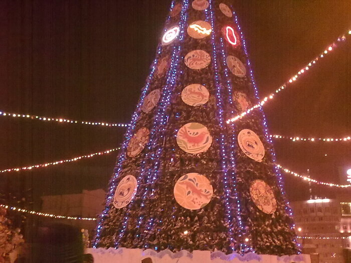 Центральная ёлка