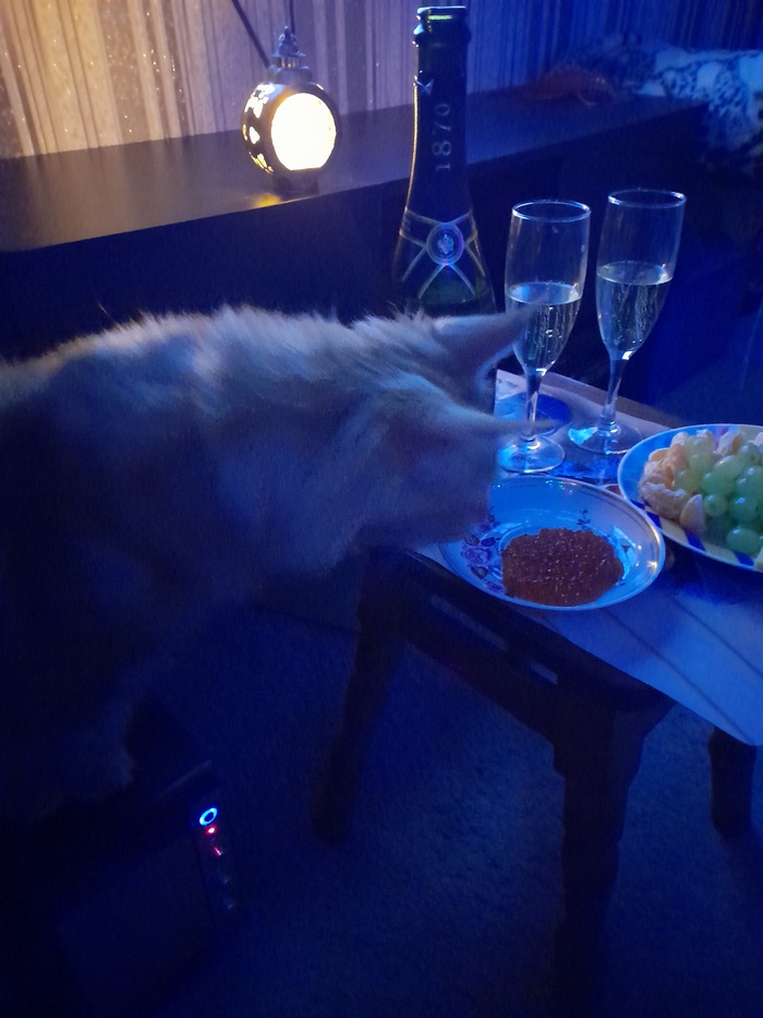 � ����� �����!