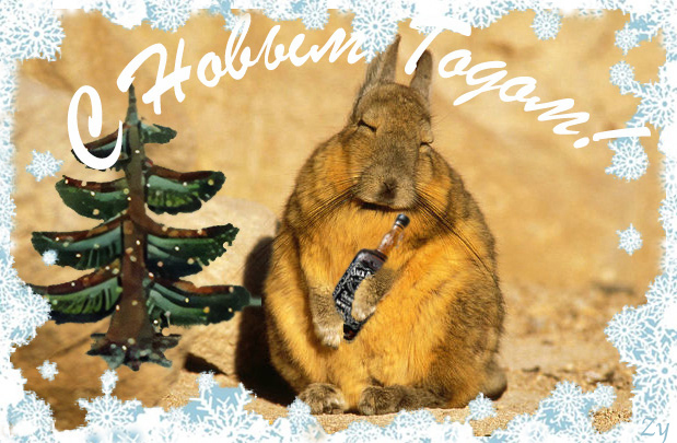 � ����� ������ ���������...