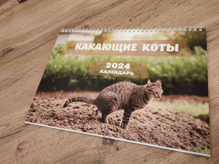 "��������� ���������". ����� �������� ������������ ��������