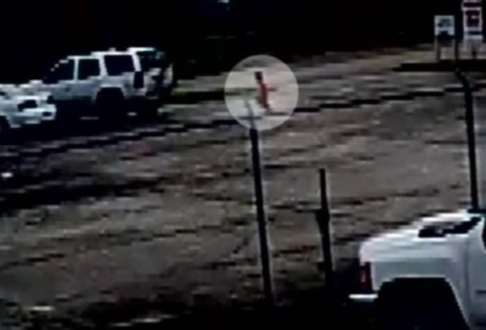 Фиона, идущая по обочине