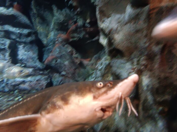 Смотрю на нее и ржу 😂😂😂