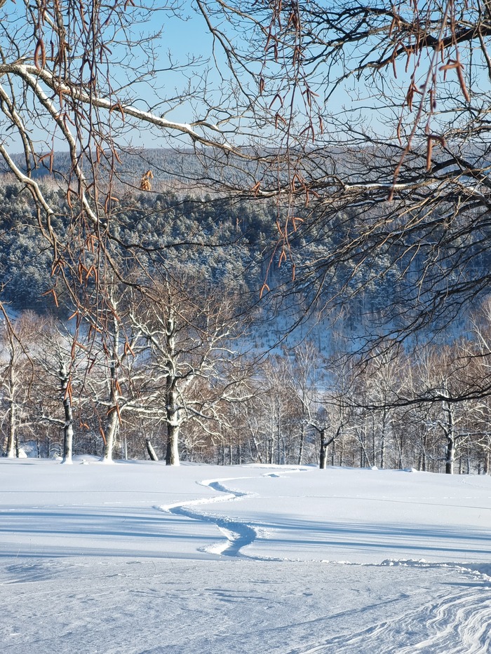 Стал забывать чем зима прекрасна. А нет, вспомнил!
