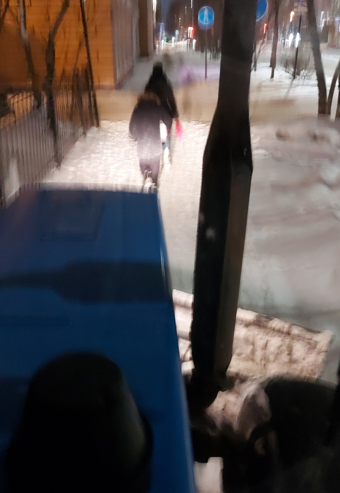    ,   .     ( 10-12).     30-40,     ,  ,     1,5   .