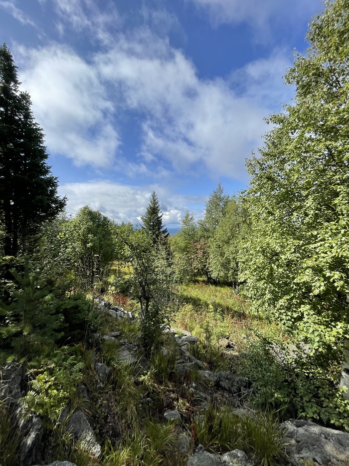 Покой дикой местности