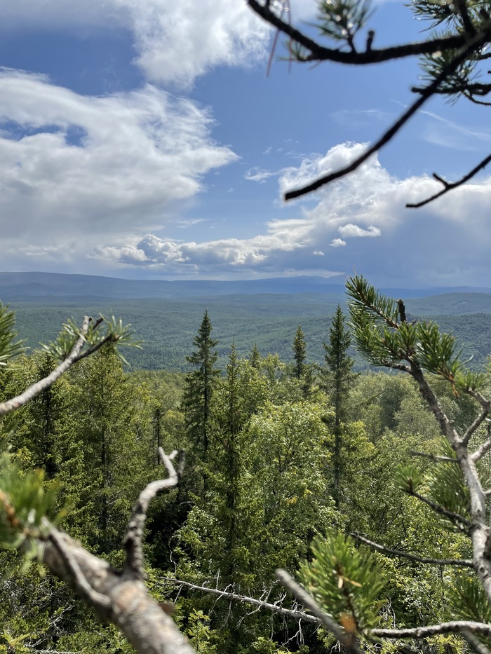 Зеленое море