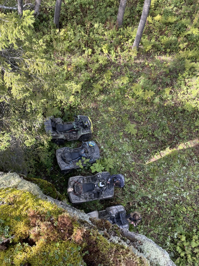 Сверху вниз